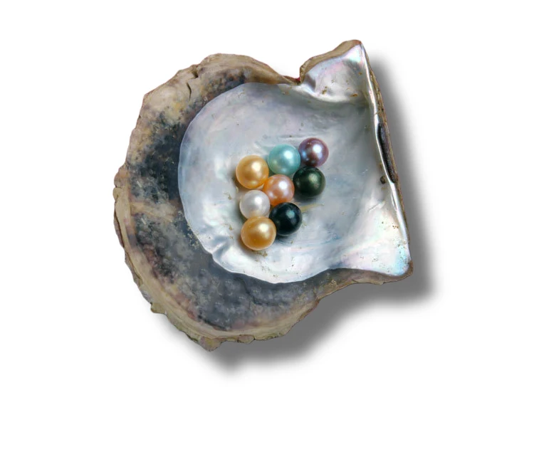 
AAAA 7-8 mm round Colorful Pearl Wholesale Vacuum-packed Mixed Colors Akoya Pearl Oysters loose pearl for party bithrady 