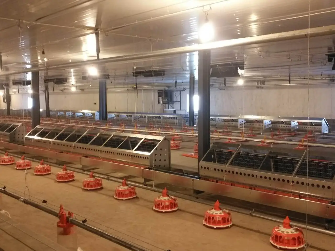 Poultry semi-automatic egg collection nest system for chicken farm