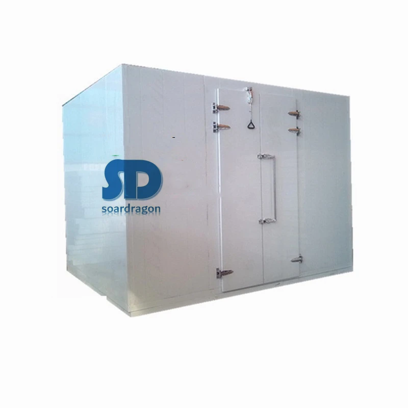 Soardragon Commercial Cold Camera, camera Frigorifica, walk in Freezers industrial freezer Room cool rooms and freezer room
