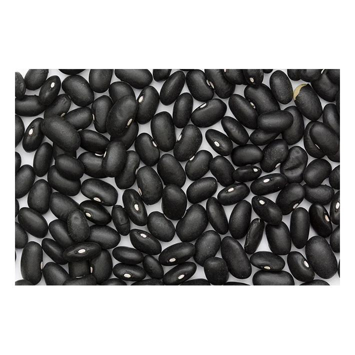 Черная фасоль премиум-класса-высокое качество, Лучшая цена, непосредственно от производителей в Мексике
