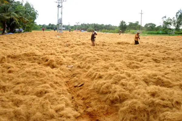 HOT SALE COCONUT FIBER/COCONUT FIBER NET/COCONUT CARPET  FROM VIET NAM WHATSAPP +84986399409