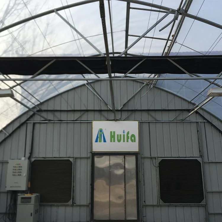 Auto Blackout Light Deprivation Greenhouse Manufacturers Tunnel Green Houses For Sale In USA