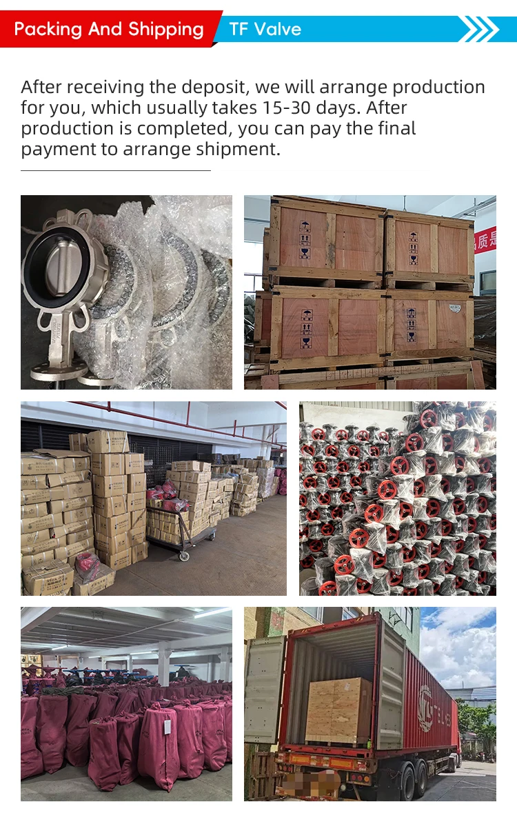 TF ANSI 150LB 304 316 Stainless Steel JIS Pn16 Cast Iron High Temperature Worm Wheel Manual Soft Seal Flanged Butterfly Valve