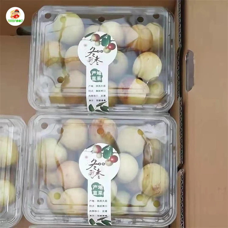 
Chinese popular fresh fruit winter jujube fresh high quality winter jujube with qualiyt pure 