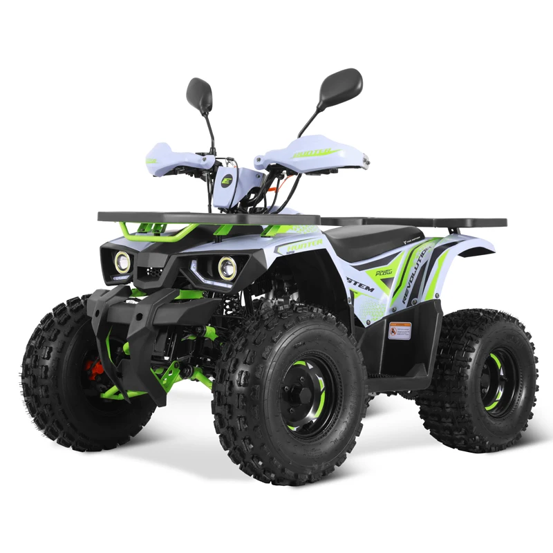 Tao Motor New EFI Electronic Fuel Injection ATV 125 Cheap Chinese Automatic with Reverse Chain Drive Farm ATV 125cc ATV