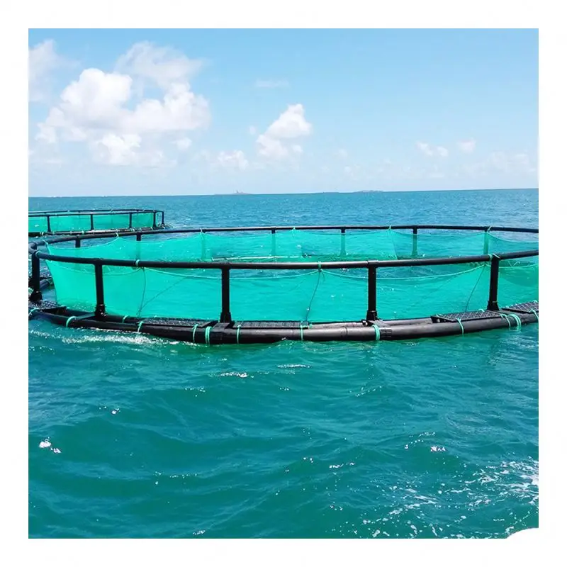 Aquaculture Traps Product Type and Fish Use offshore fish cages deep water open ocean