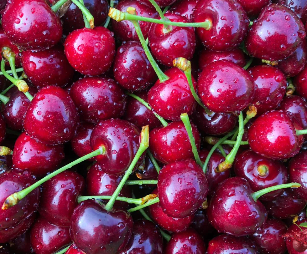 High recommended 100% natural fresh fruits class A red Australian fresh cherries