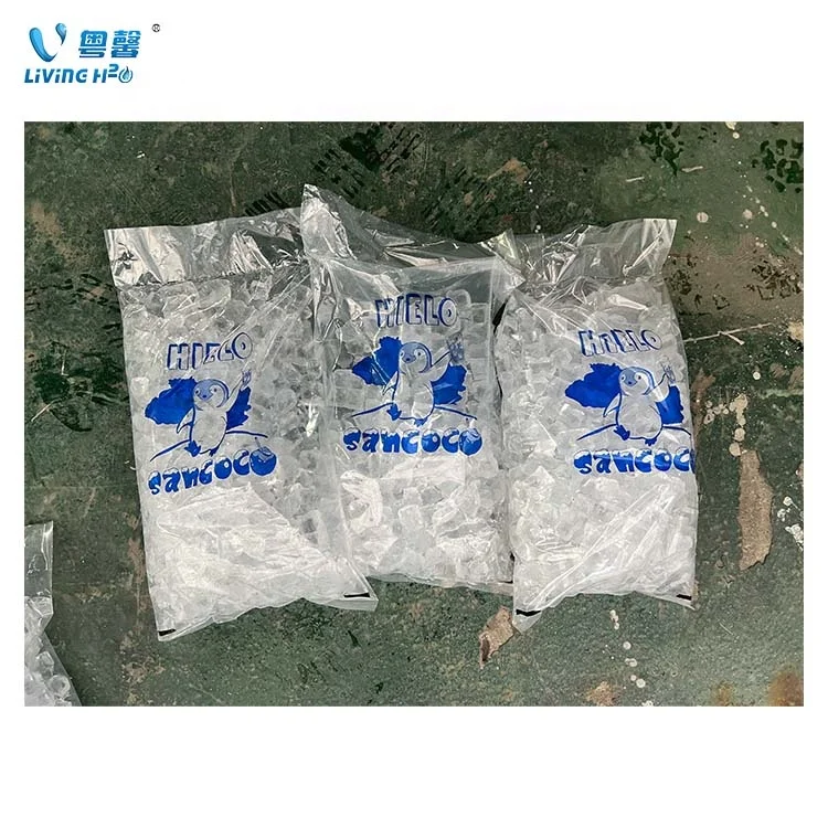 Ice Vending Machine with Ro filter 24H service coin Ice Vending Machine