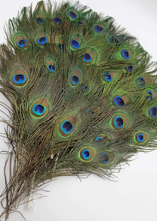 Peacock Feather Hot Selling Peacock Feathers For Sale Cheap Used In Party Decoration Top Quality