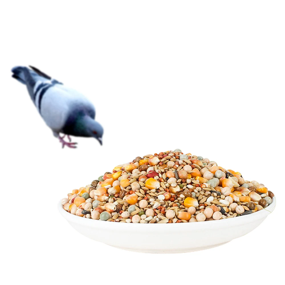 Balanced Nutrition Pigeon Food