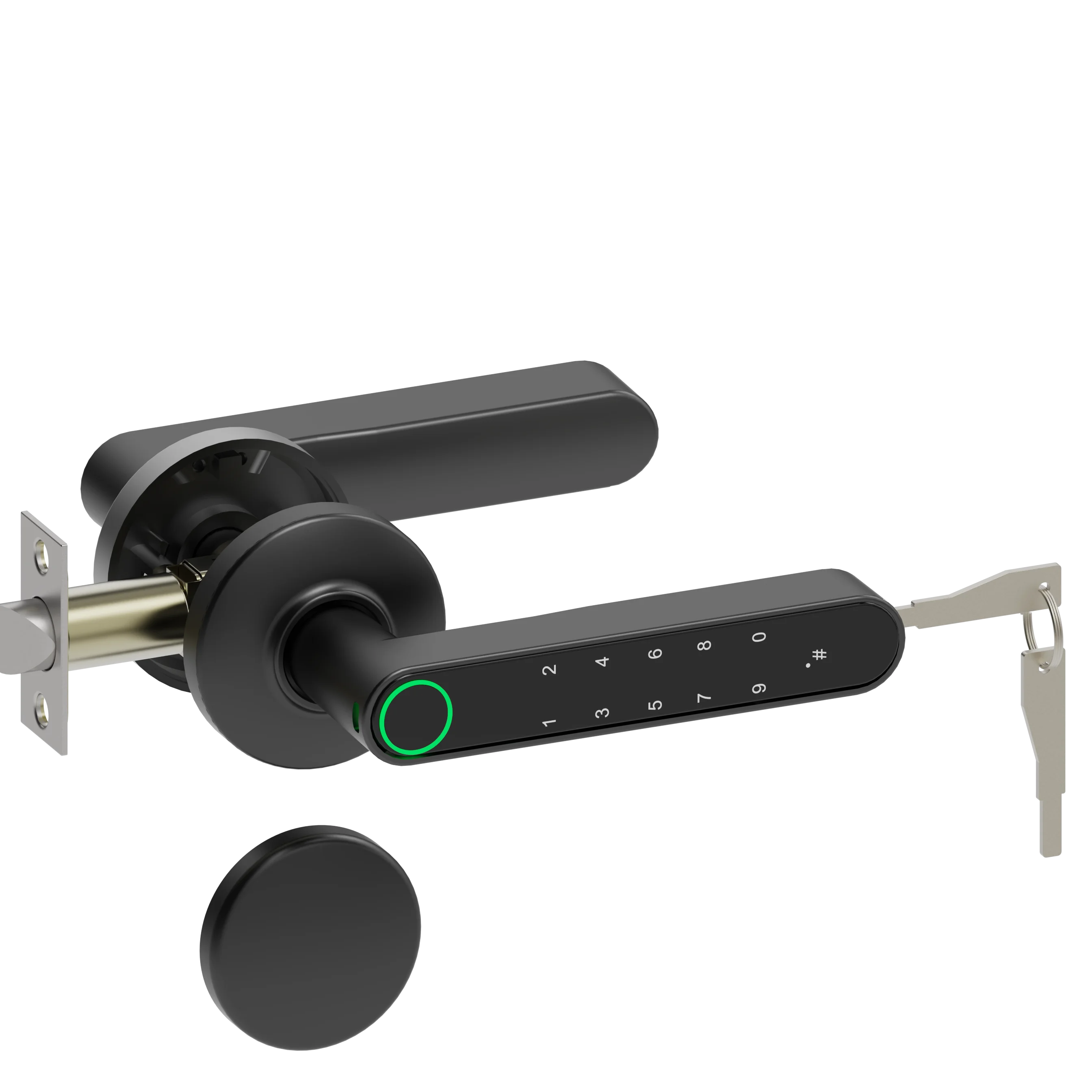 Electronic Door Lock Fingerprint Door KnobKeyless Entry Handle Biometric Wifi Smart Lock TTlock Smart Padlock