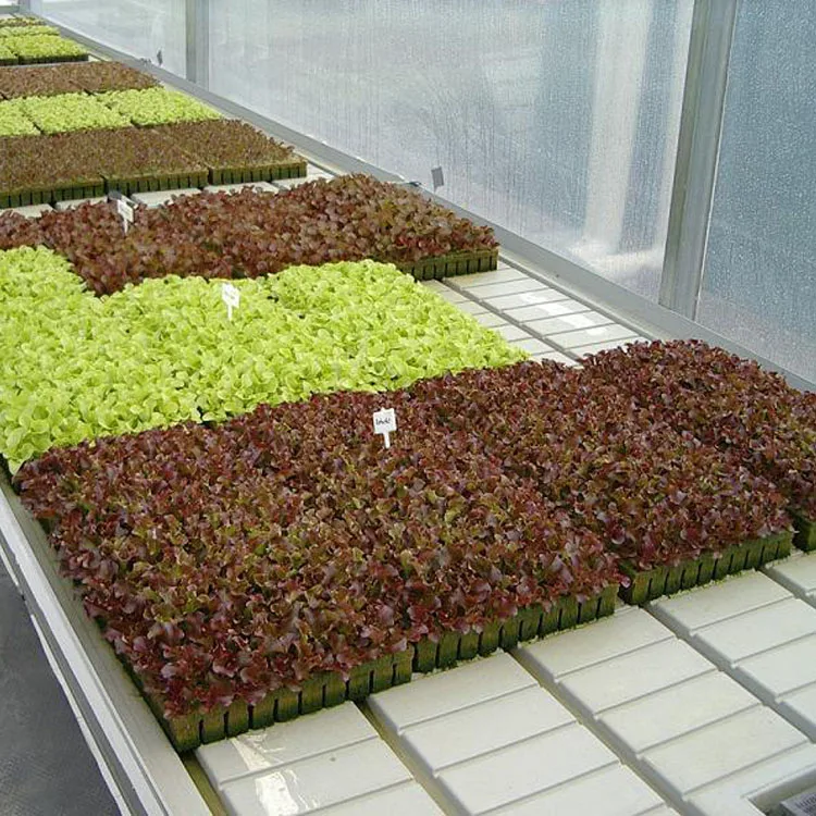 4x8 Plastic Grow Tables Hydroponic Greenhouse Rolling Benches For Sale In Israel