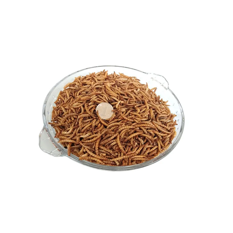 Прямые оптовые продажи высокое питание содержание белка сушеные консервы mealworms для птиц