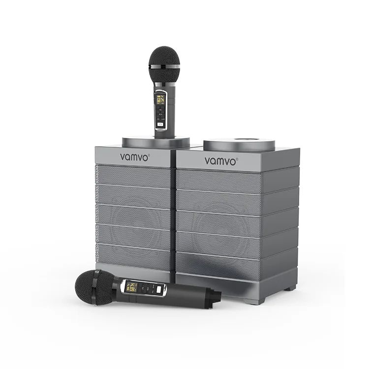 Горячая распродажа! Басов семья KTV 2-в-1 Портативный беспроводной динамик с двойной микрофон/динамик