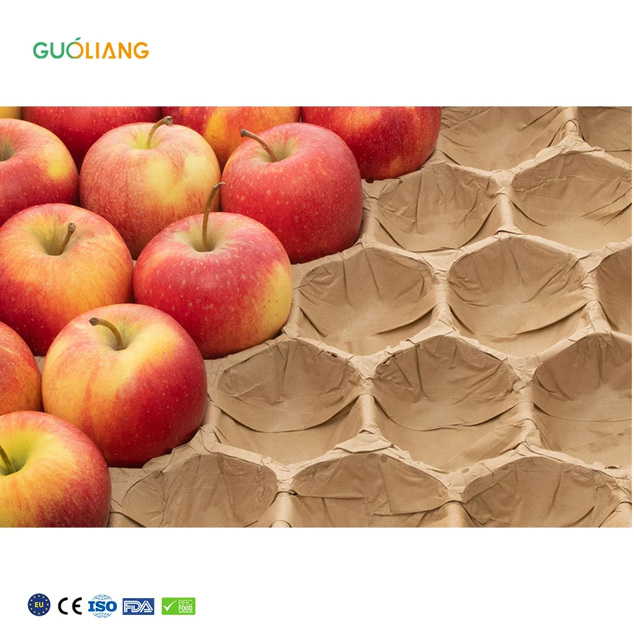 Different Caliber Paper Products Biodegradable Black Pulp Molded Fruits Insert Tray Kraft Paper Fruit Tray Liner
