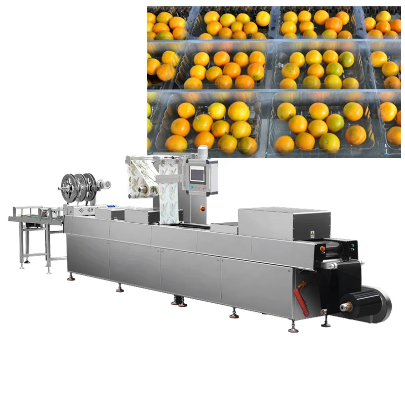 thermoforming packaging machine automatic map tray sealer thermoforming vacuum packing machine for dates olive fruit ready meal