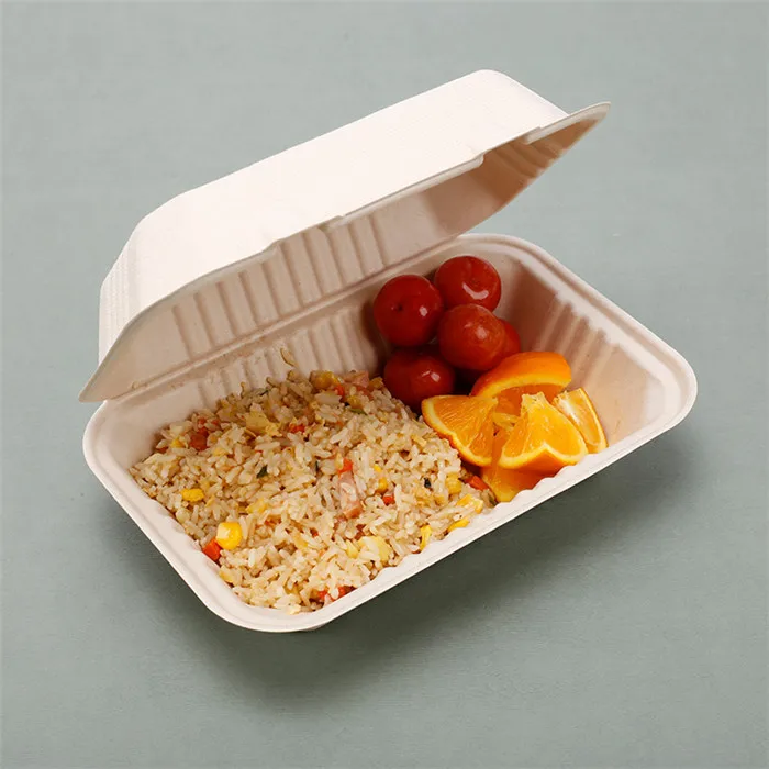 Compostable Bento Biodegradable Sugarcane Bagasse Paper Container Production Disposable Box Packaging For Food