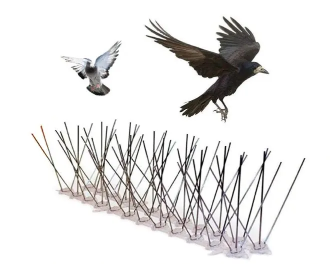 Stainless Steel Anti-Bird Spikes Pigeon Control Fence Wall with Anti-Climb Design Bird Deterrent for Flying Pest