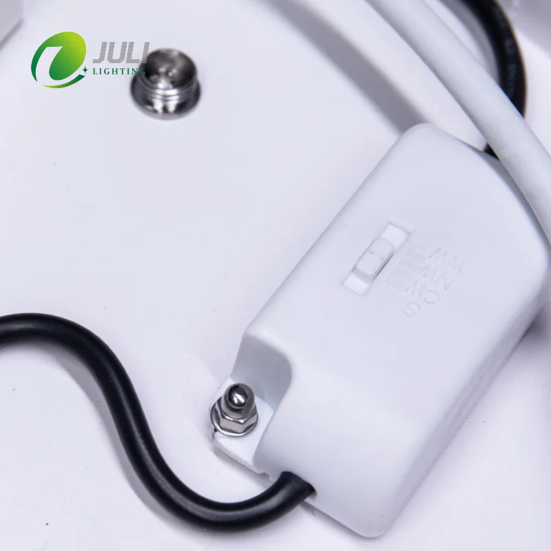 Modern Minimalist Design CB CE Approved 300 400 600 800mm Big Round Pendant Light CCT changeable for Indoor Decoration Lighting