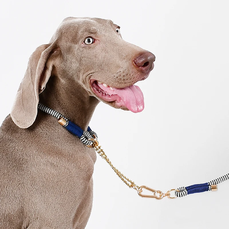 Loudik Wholesale Personalized Factory Handmade Premium P Chock Snake Pet Chains Accessories Braided Nylon Rope Dog Slip Collar