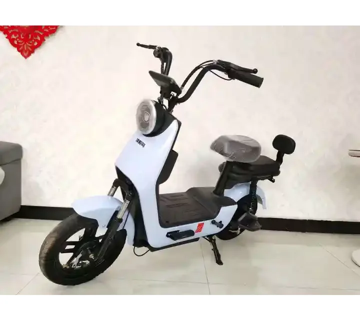 Electric bicycle factory Direct selling Long Distance digital meter electric bicycles for men