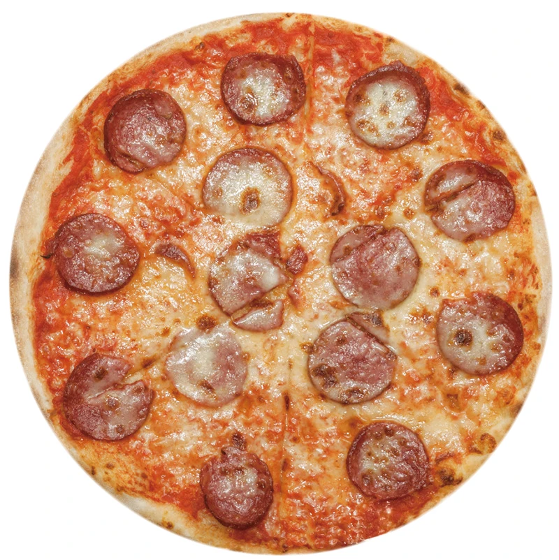 Soft and Cozy Realistic Food Novelty Blanket Fleece Pizza Throw Blanket Round Tortilla Throws Blanket