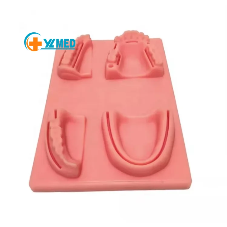 Заводской медицинский научный высокосимуляционный модуль для обучения стоматологической десны при ротовой полости силиконовая модель швов периодонтите
