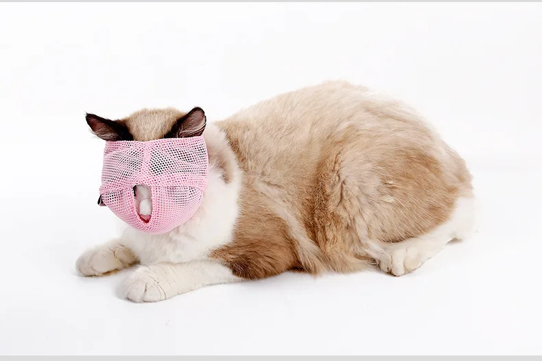 Kingtale Anti-lick and bite multifunctional Cat muzzle Anti-eating barking cat headgear breathable mesh mask