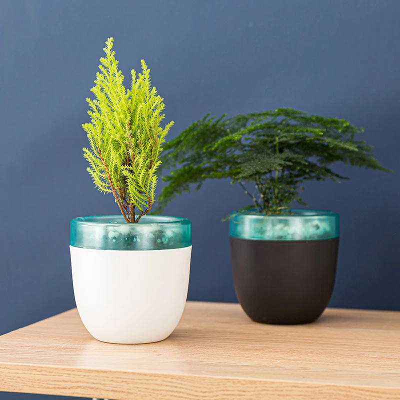 Wholesale Lazy Double Layer Cheap Plastic Flower Succulent Self Watering Planter Pots