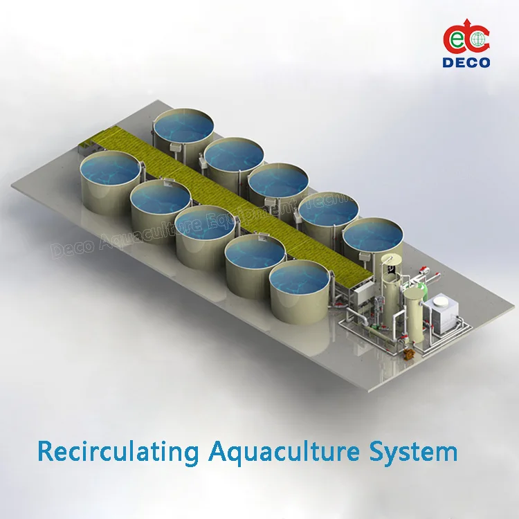 Customized Recirculating Aquaculture Systems Indoor Aquaculture Equipment Fish Farming System Ras In Aquaculture