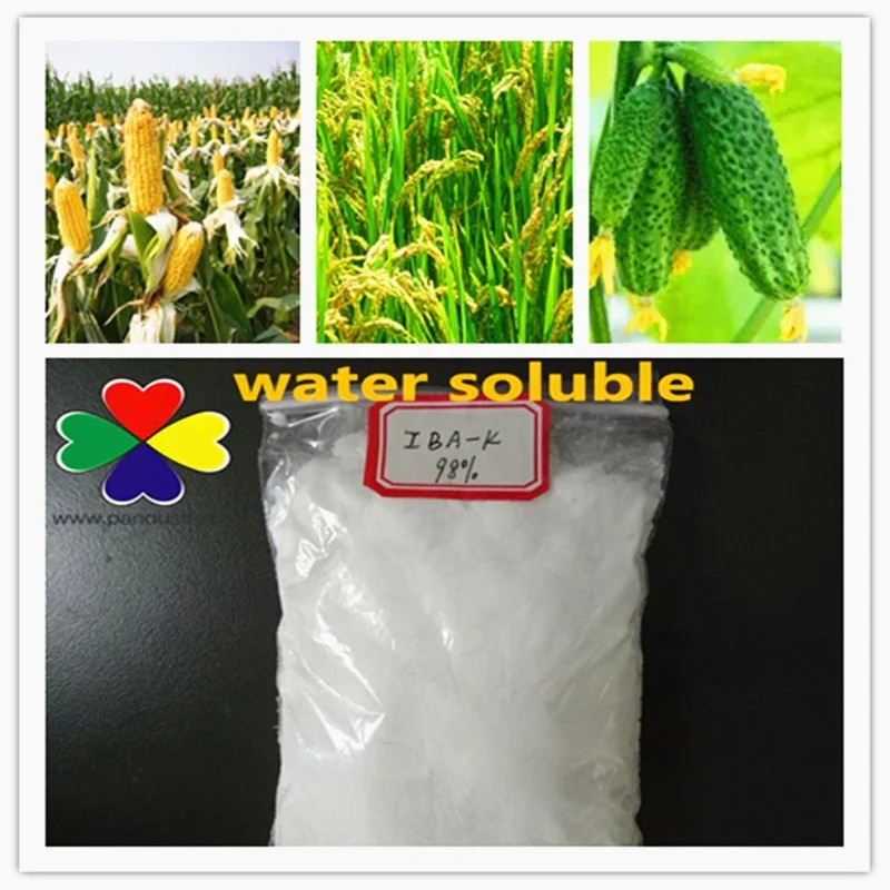 China supply promote root growth auxin iba indole 3 butyric acid 98%tc for sale