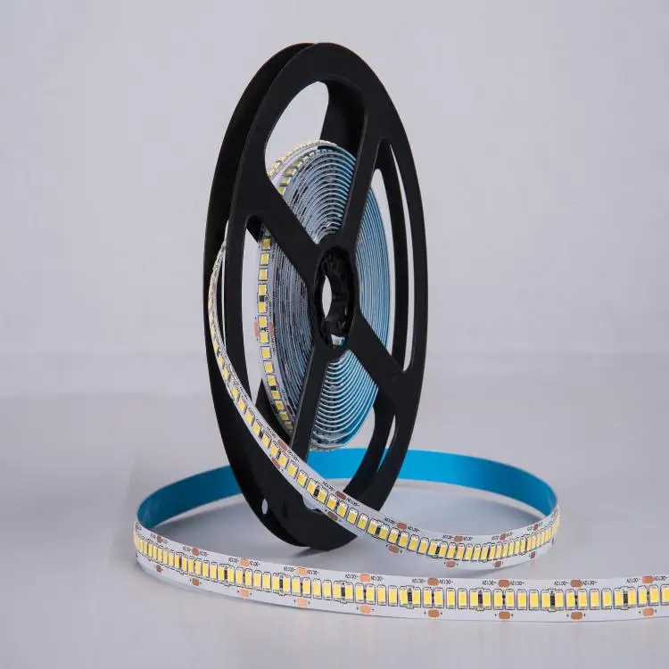 High Brightness Custom 240leds/m Colorful Outdoor Decorative SMD2835 Low Voltage Led Neon Strip Light