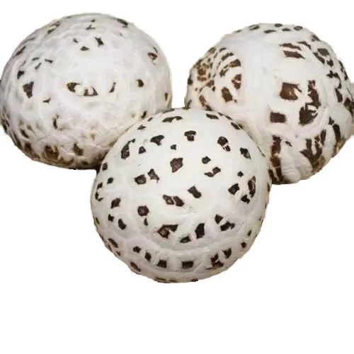 Прямая Продажа с фабрики Henan фирменный высококачественный дневной белый цветочный гриб для приготовления пищи