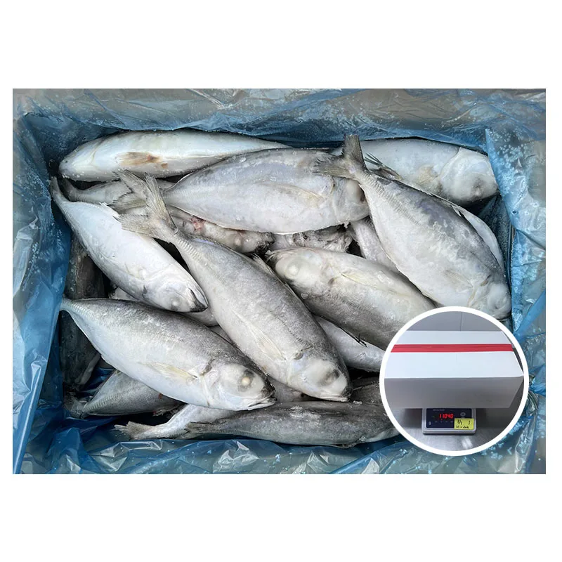 Manufacturer Price Popular Size Trachurus Japonicus Horse Mackerel Fish Frozen Round Eye Scad