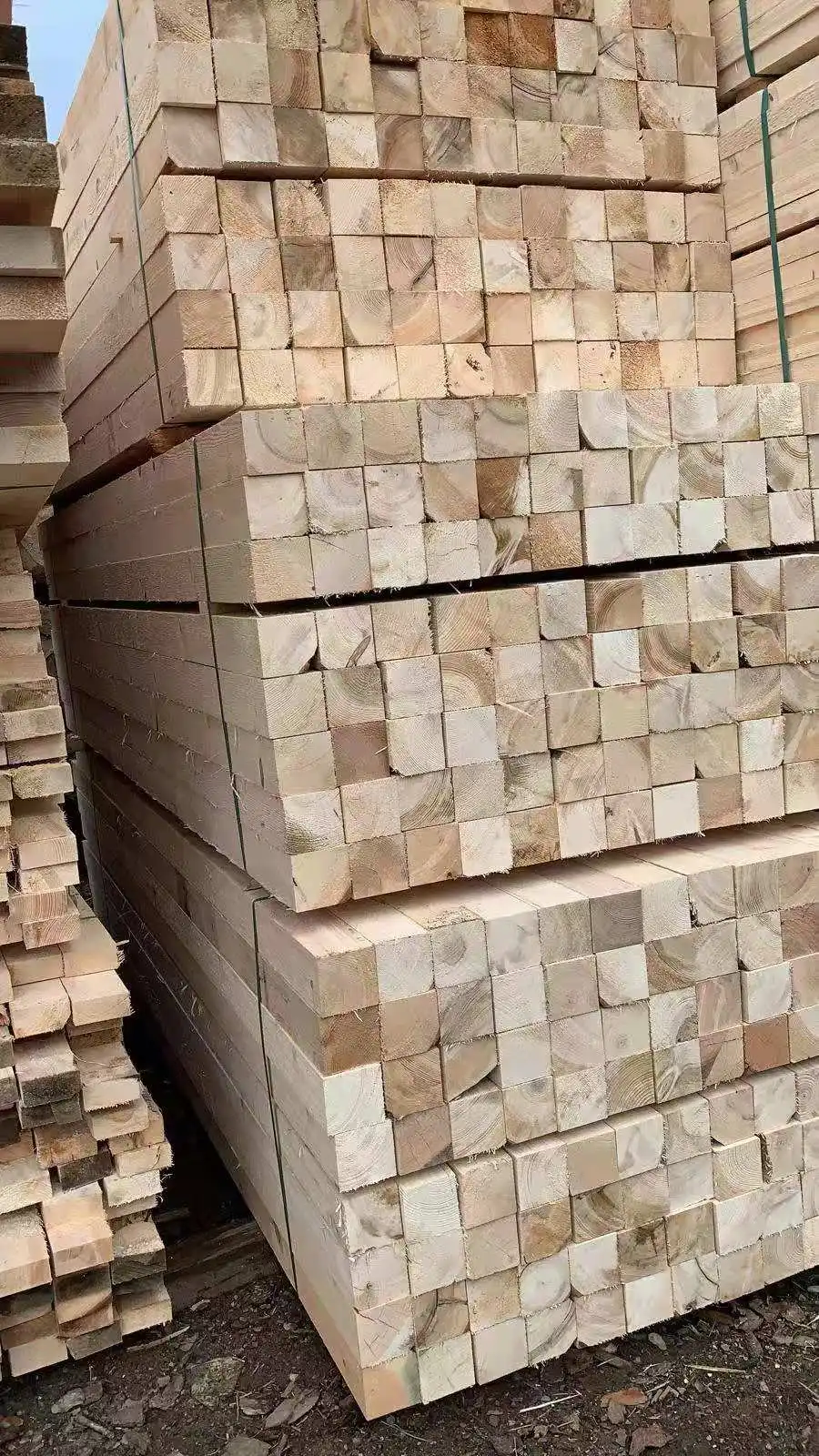 wood drying equipment supplier wood drying Chamber machine for oak and SYP wood dryer