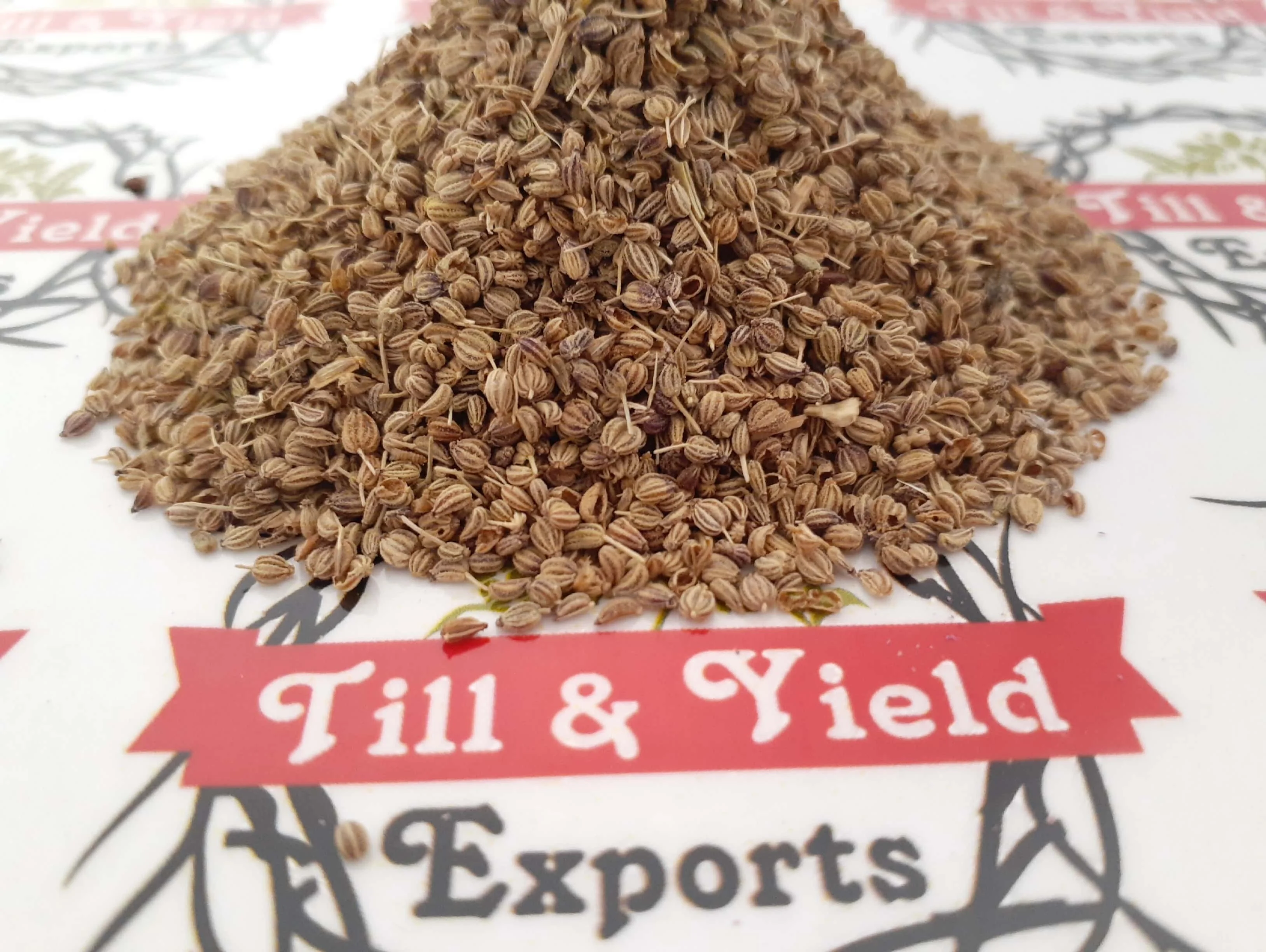 Ajwain Seed (Kani) - Trachyspermum Ammi Seed Fight Bacteria And Fungi Carom Seeds Have Powerful Antibacterial And Antifungal