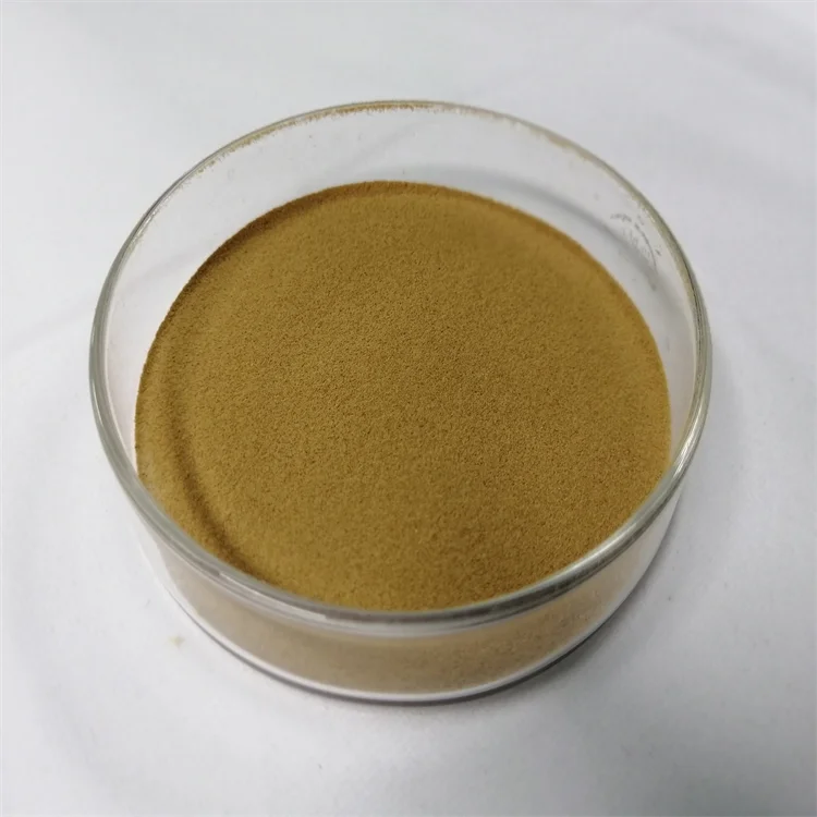 Saccharomyces Cerevisiae Yeast