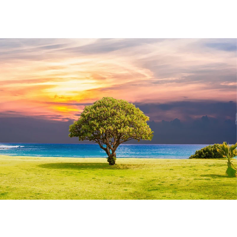 
Diy Full Drill Diamond Painting Wholesale Alone Green Tree By The Sea Embroidery Cross Stitch Indoor Room Decor Wall Art 