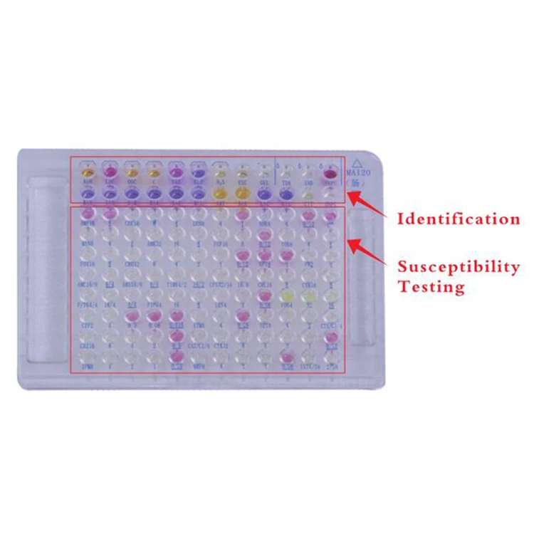 Professional Factory Wholesale Medical Yeast And Yeast-like Fungus Ast Test Plate Wide Application Fungus Test Card