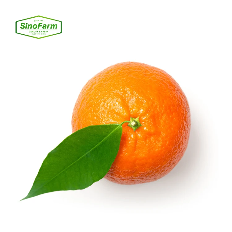 2023 new season Siofarm brand Fresh citrus orange fruit from China Fresh Mandarin sweet oranges for sale