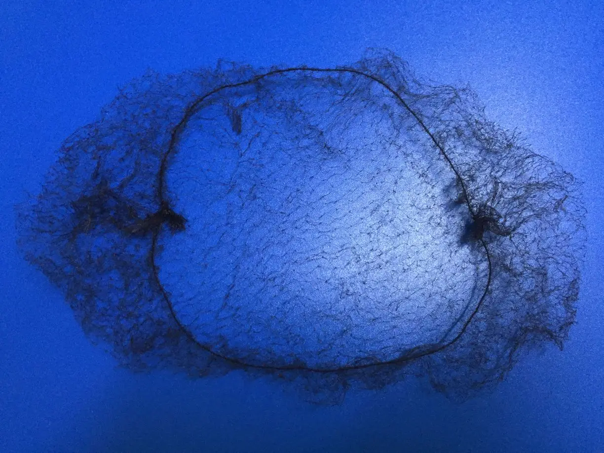 invisible hair net.jpg