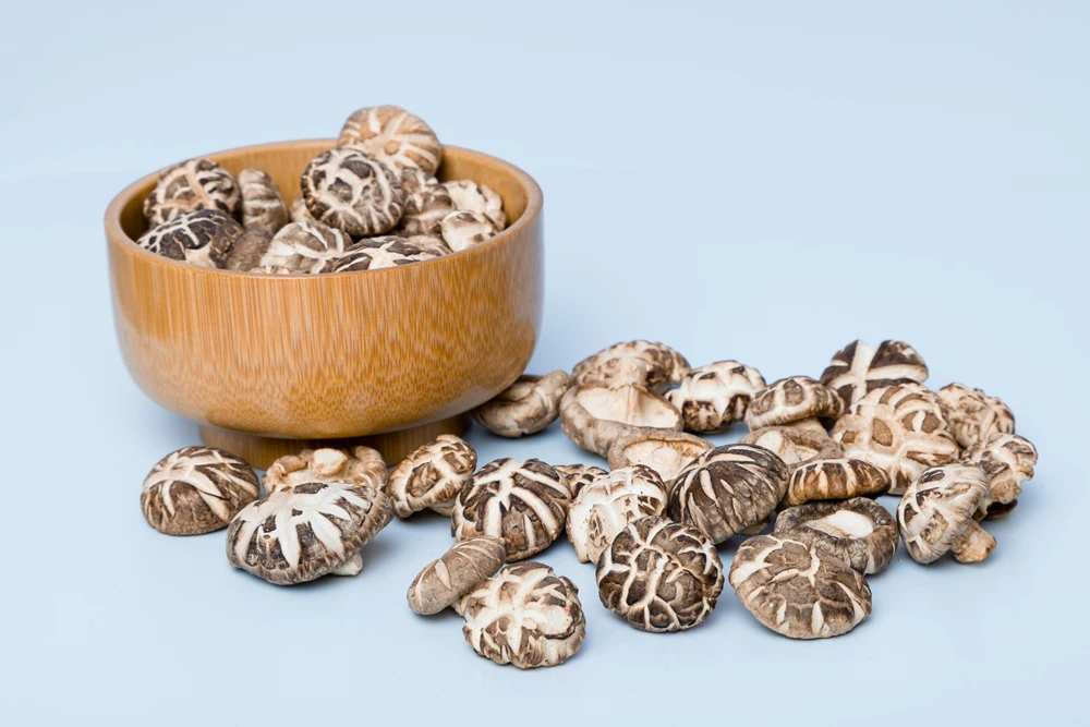Dried mushroom dried shiitake mushroom export dry oyster mushroom