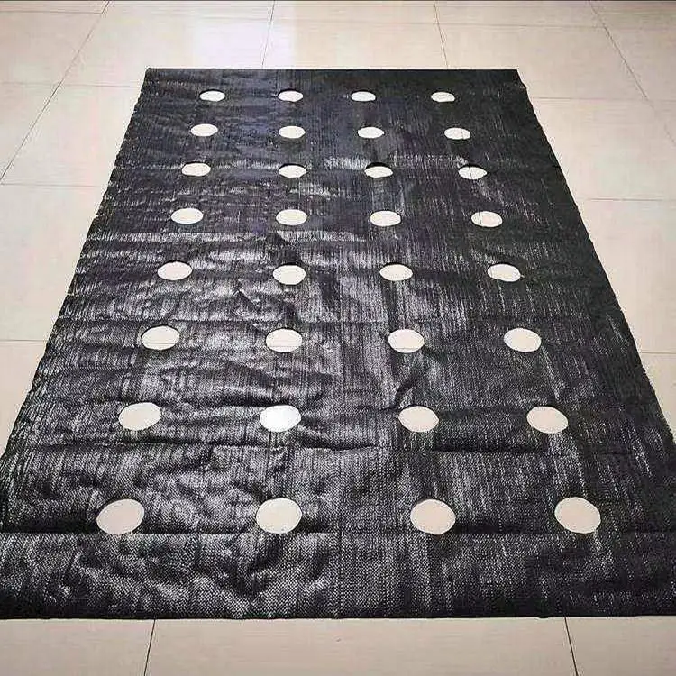 Shandong Factory Direct Sale Agricultural PP Weed Mat Woven Plastic Agro Textile Greenhouse Hot Sale Arrivals at Factory Price