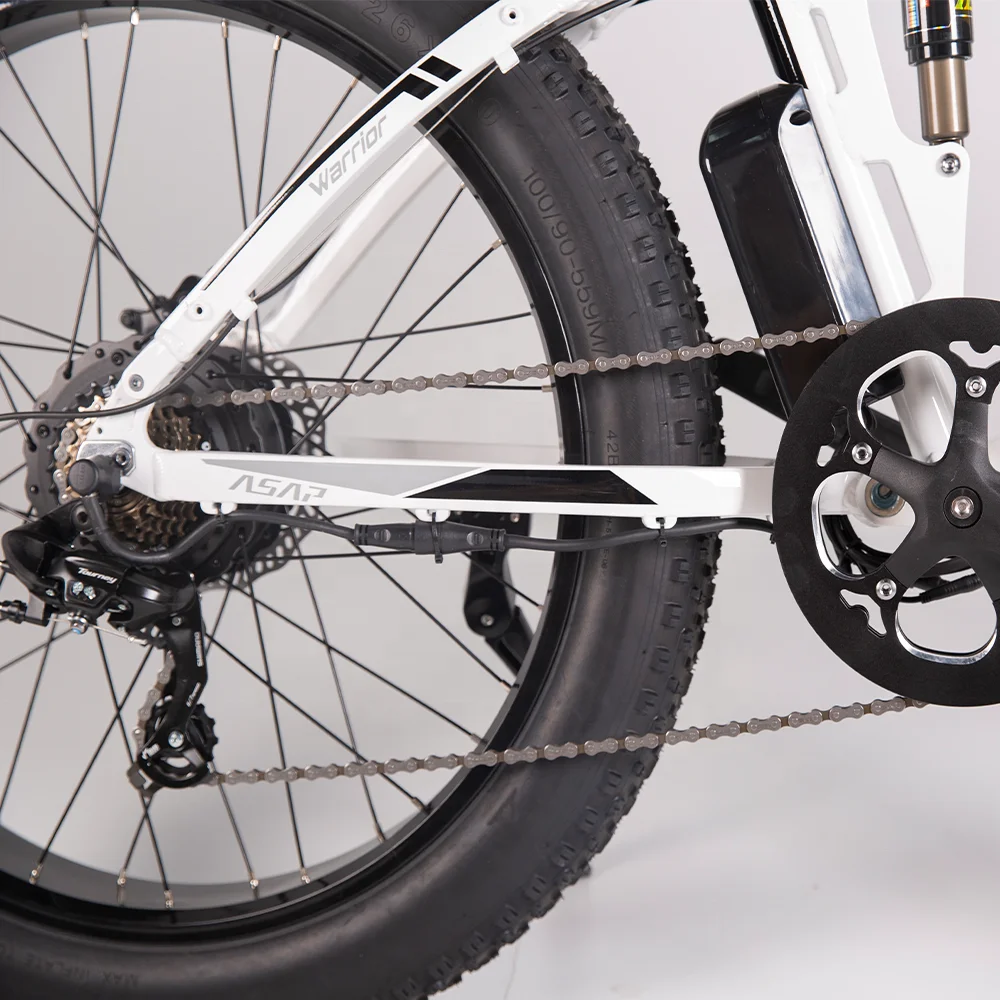 Equipped 26 Inch Fat Tire Support Multi-Terrain Riding Using 750W Bafang Motor Powerful Adult Electric Mountain Bike