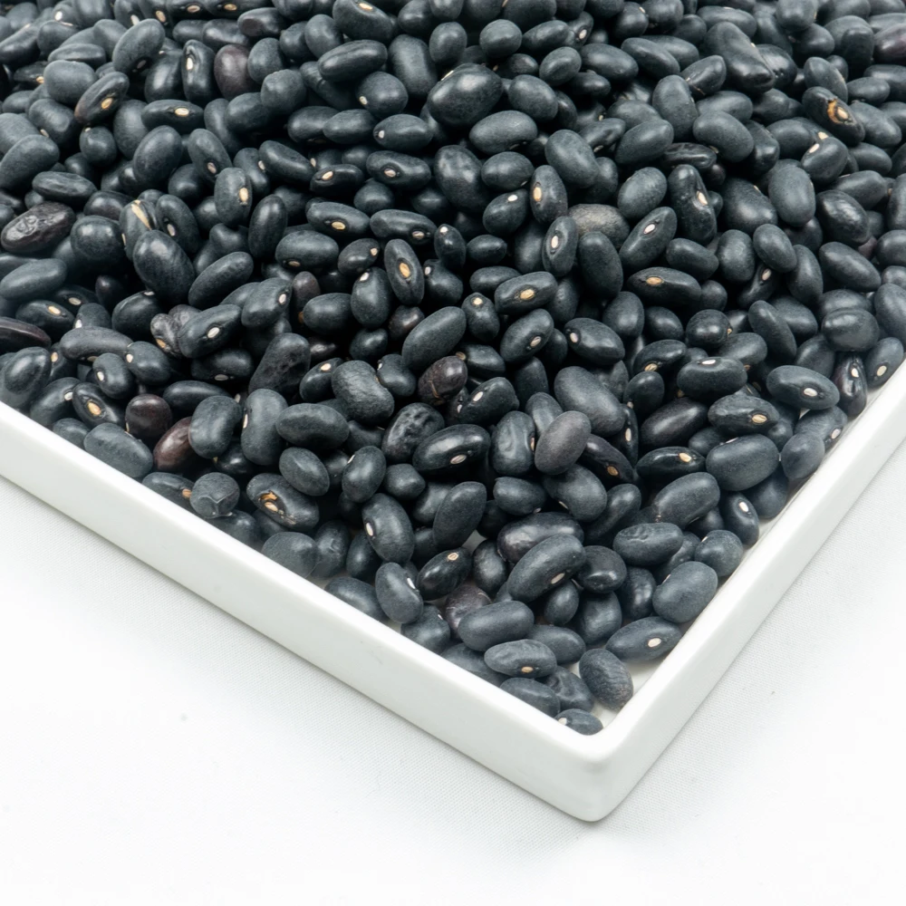 
new crop premium grade china black beans 