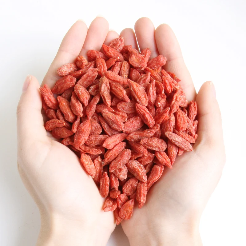 580 зерна/50 г заводские оптовые продажи чай с ягодами Годжи здоровые закуски сушеные ягоды годжи Волчья
