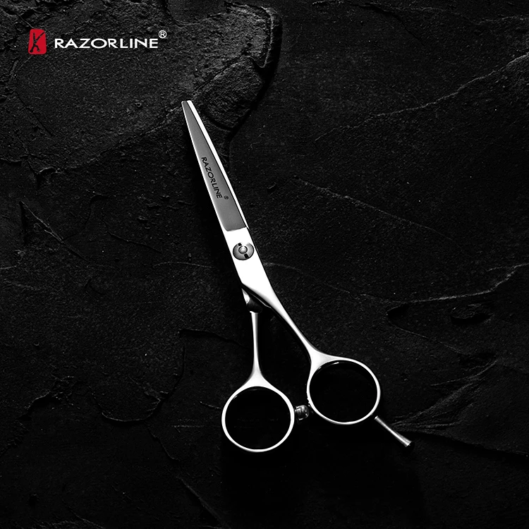 Razorline R8 Hair Cutting Scissors  Stainless Steel 6CR Hairdressing Scissors Beauty School Student  Hair Cutting Shears
