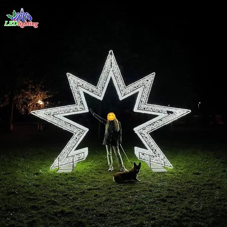 Decoration Outdoor Led Chasing Christmas Snowflake Neon Star Motif Light