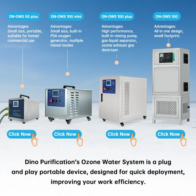 Spa Ozone Water Generator Laundry Ozone Generator House Ozone System