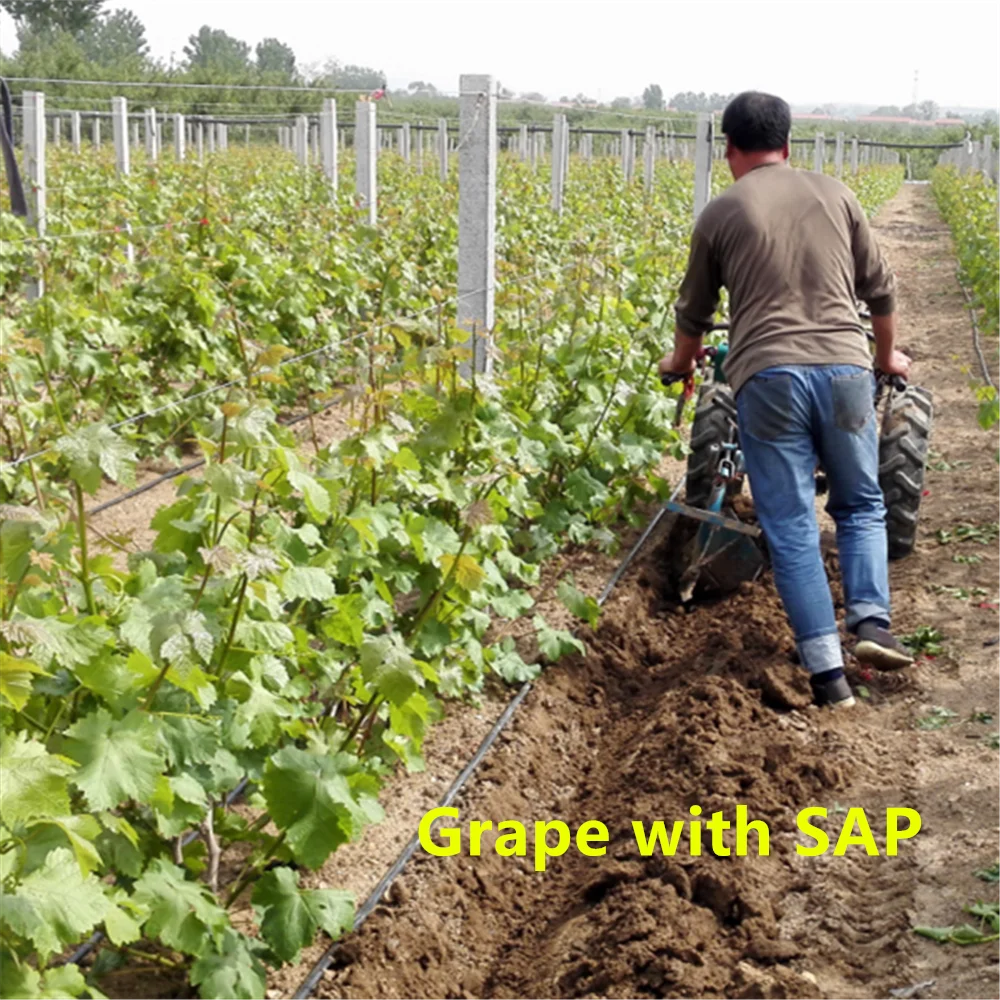 Agriculture Potassium Polyacrylate high water absorption resin SAP super absorbent polymer